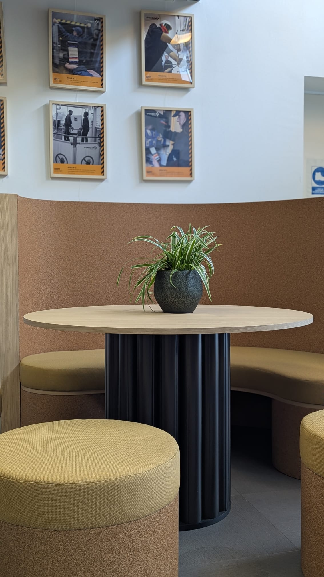 Vinci Facilities Gimmic
