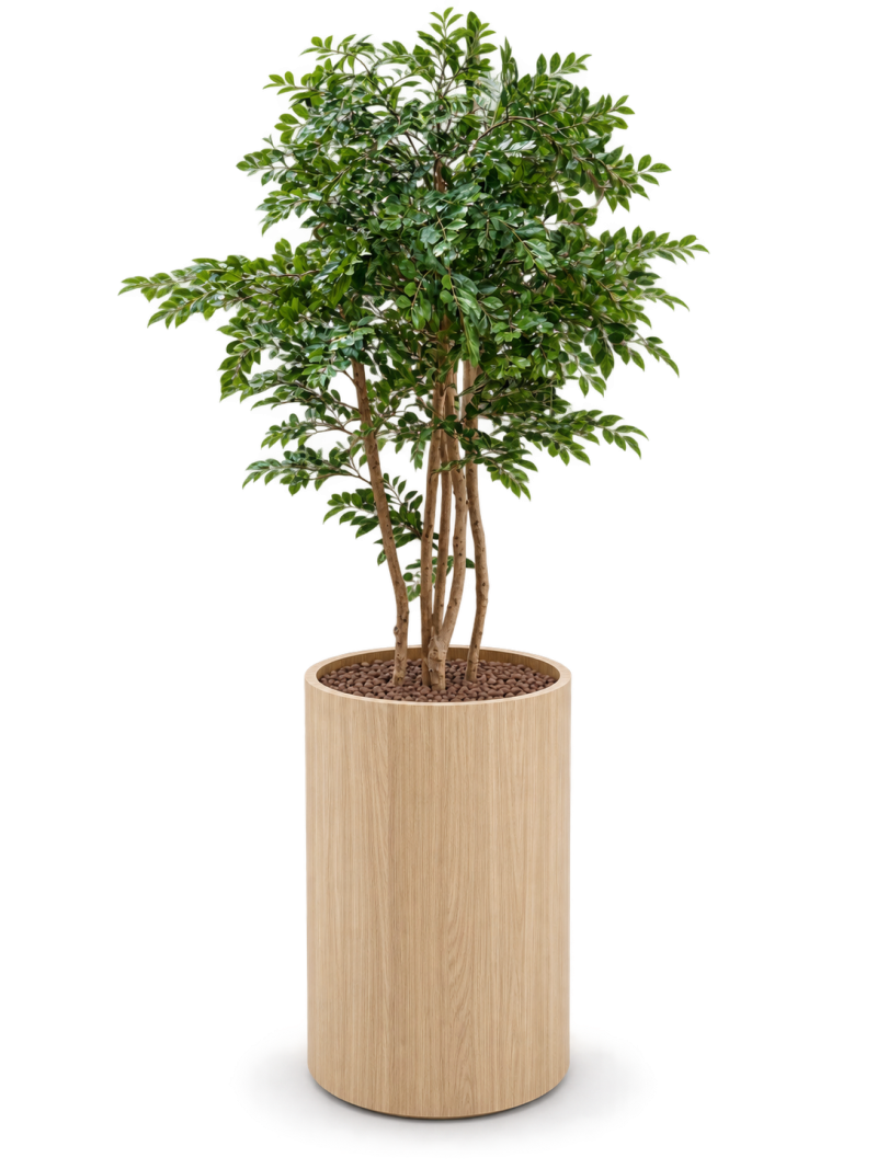 Pot de plantes TUBO Gimmic design
